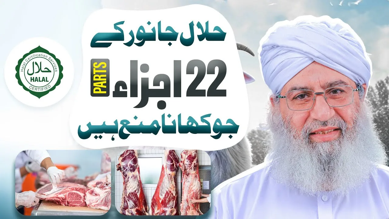 Halal Janwer Ke Wo Ajza Jo Nahi Khae Jate | Qurbani Special Video 2023 | Haji Shahid Attari